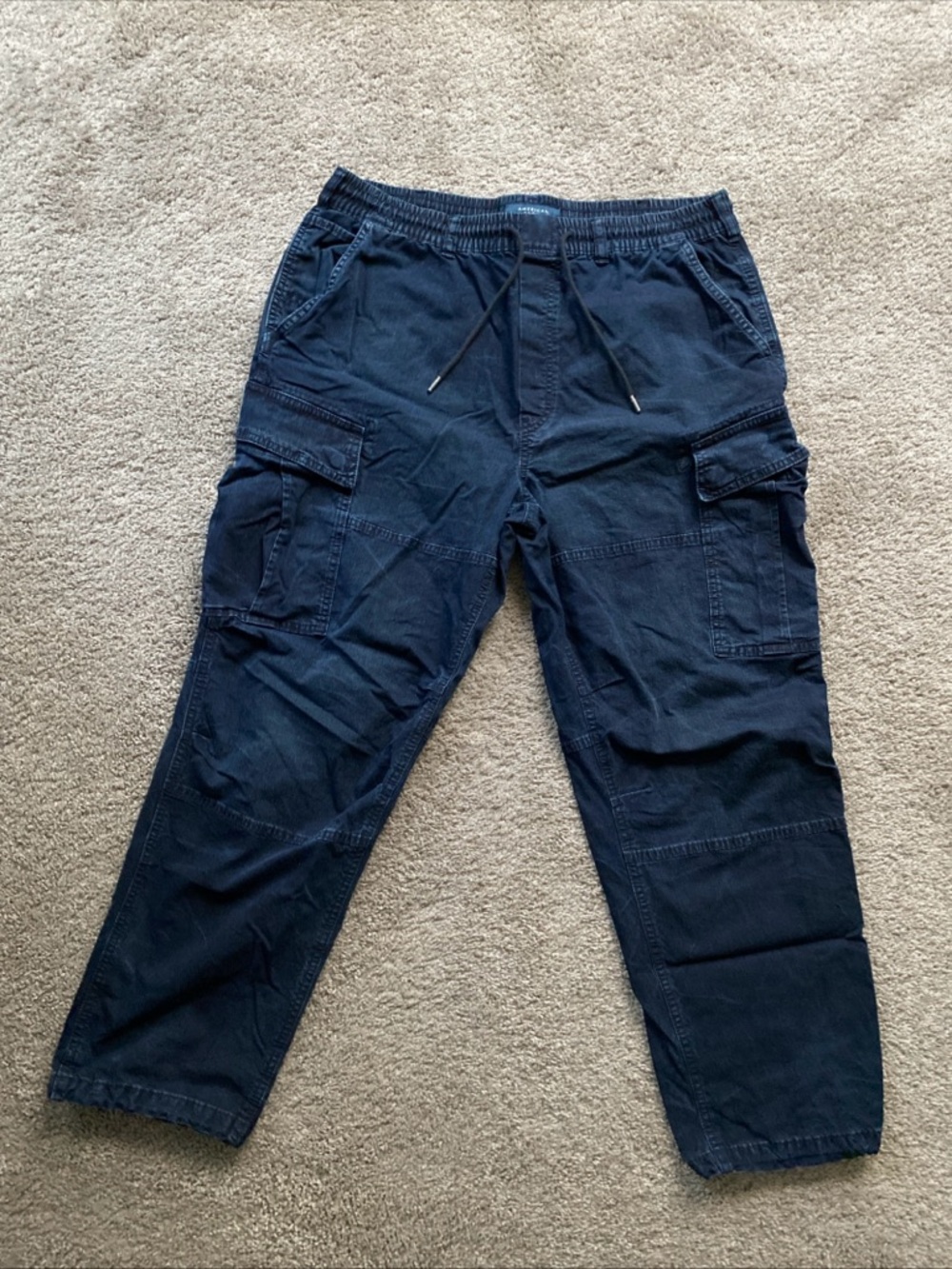 American Eagle Outfitters Dark Blue Cargo Drawstring Pants